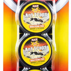 3-pack ant traps with circular bait discs in blister package