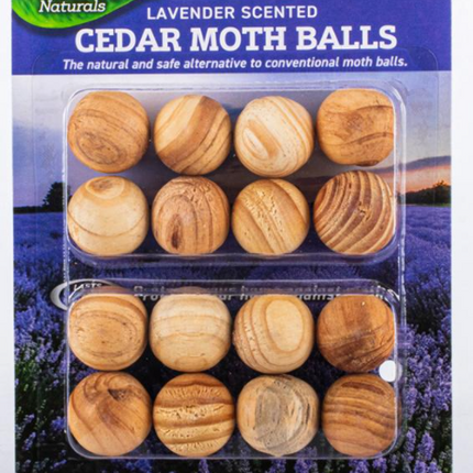 16-pack cedar mothballs in a hanging blister pack, lavender scented