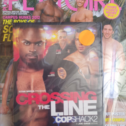 Adult entertainment magazine/DVD in clear cassette case with collage men cover, pink and blue
