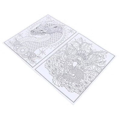 Adult colouring book set of two gray line-art scenes for coloring